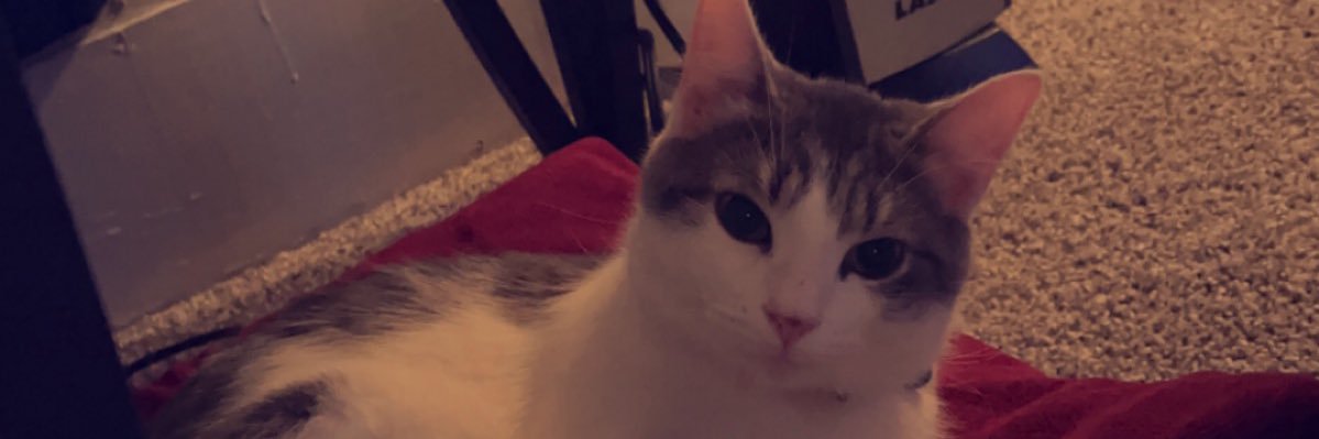 leximclemore's profile banner image