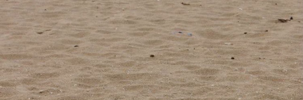 floridalivery5's profile banner image