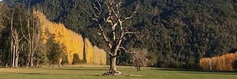 4c2f759e056745f's profile banner image