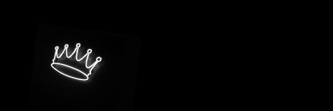 sofiaceccheto's profile banner image