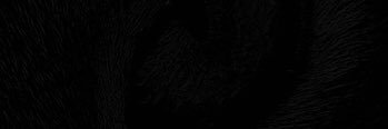 fraughtz's profile banner image