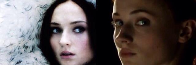 Sansa [Small Hiatus] banner