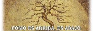Carlos Díaz Samaniego banner