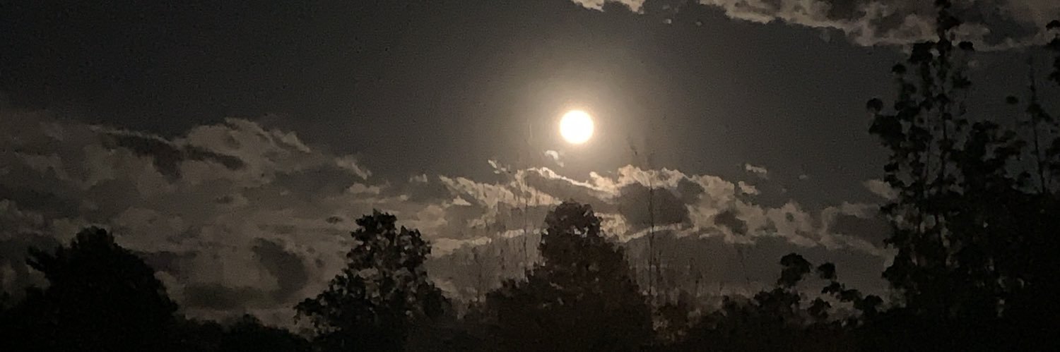 cheyenne0031's profile banner image