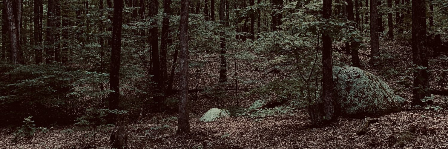 CollierAddie's profile banner image