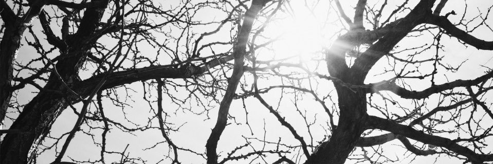 RavenousKittenz's profile banner image