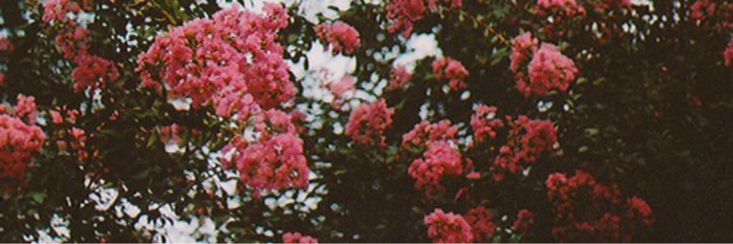 BestofBradbery's profile banner image