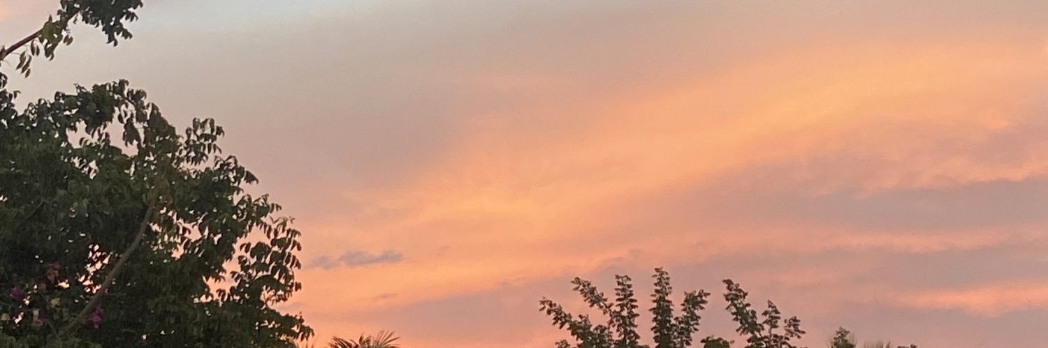 sofaguilarl's profile banner image