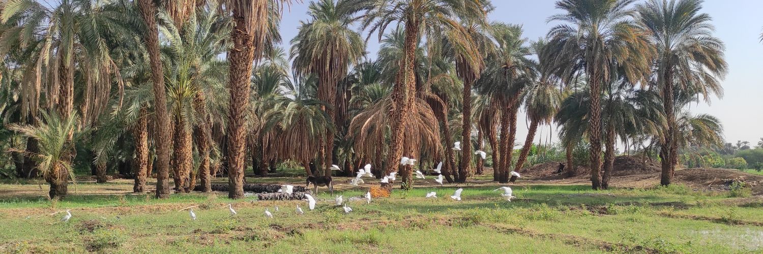 shreefOfficial's profile banner image