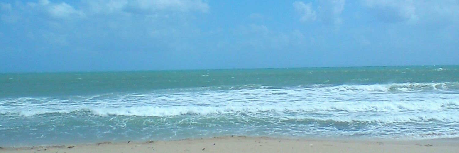 ATaoufik's profile banner image