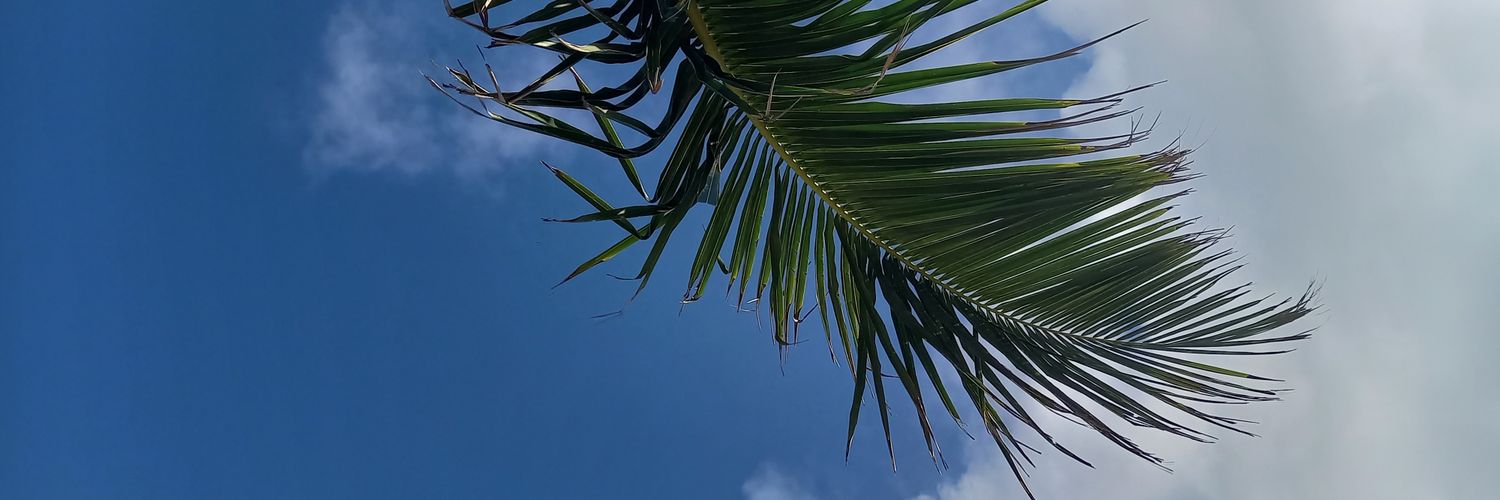 keevitajaM's profile banner image