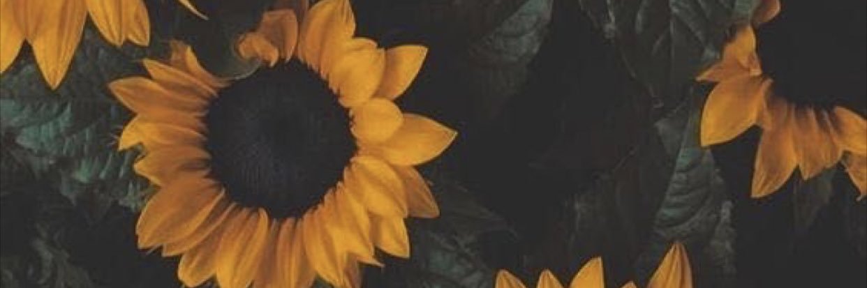 bsewelll's profile banner image