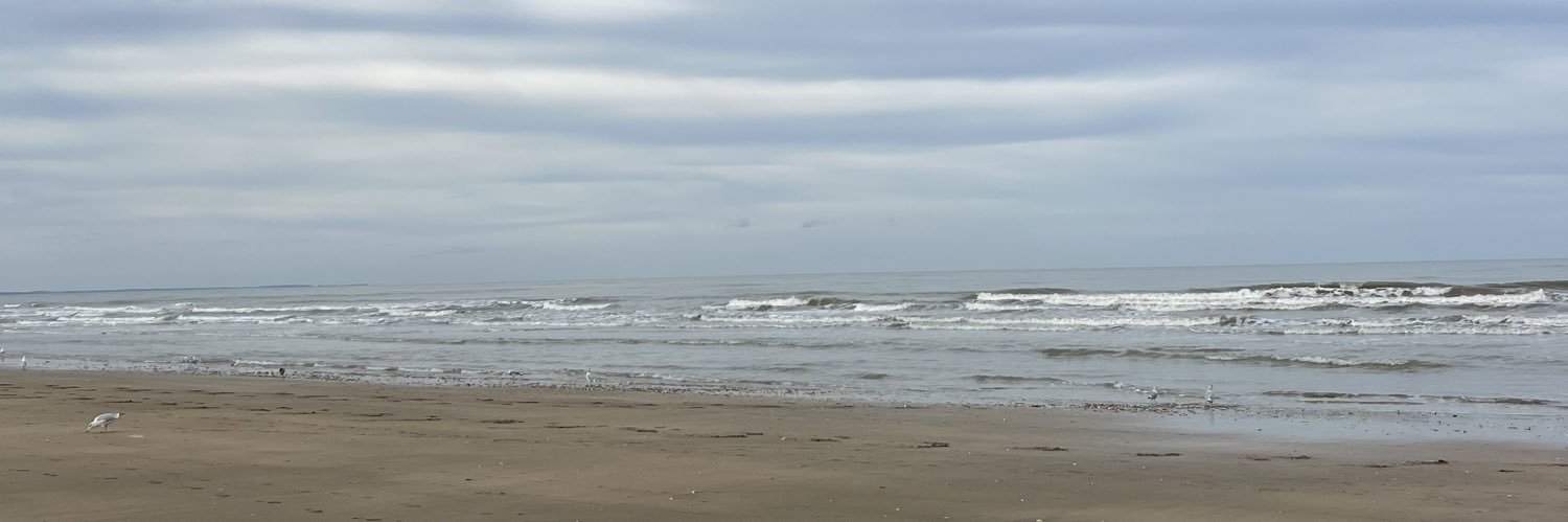 PlgChlooe's profile banner image
