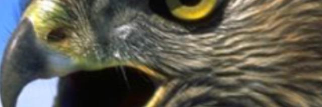 05441_s's profile banner image