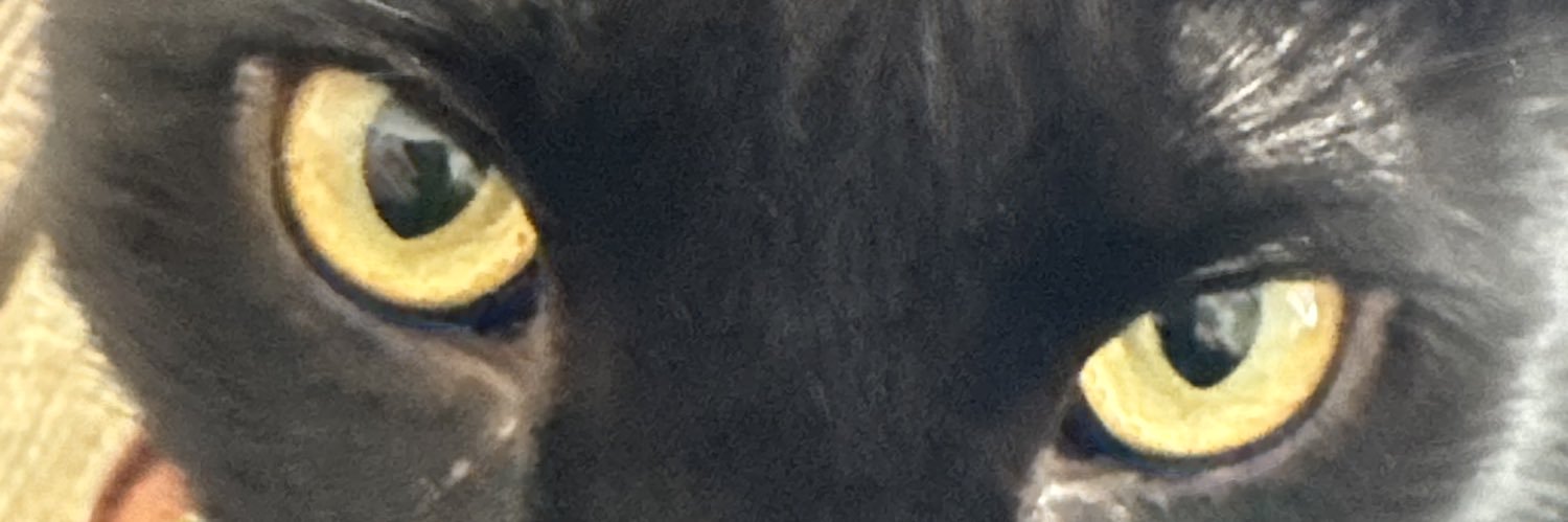 aamity1's profile banner image