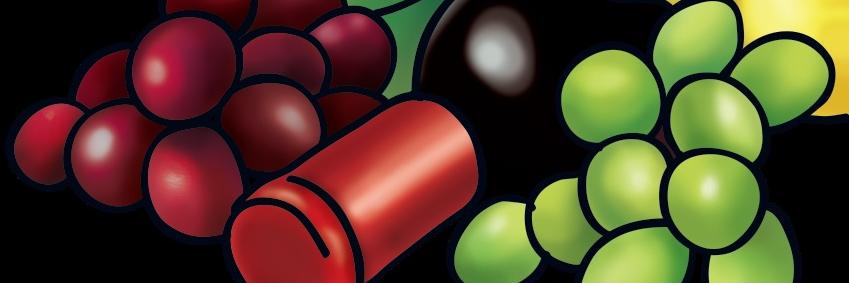 VinosSelectosCo's profile banner image