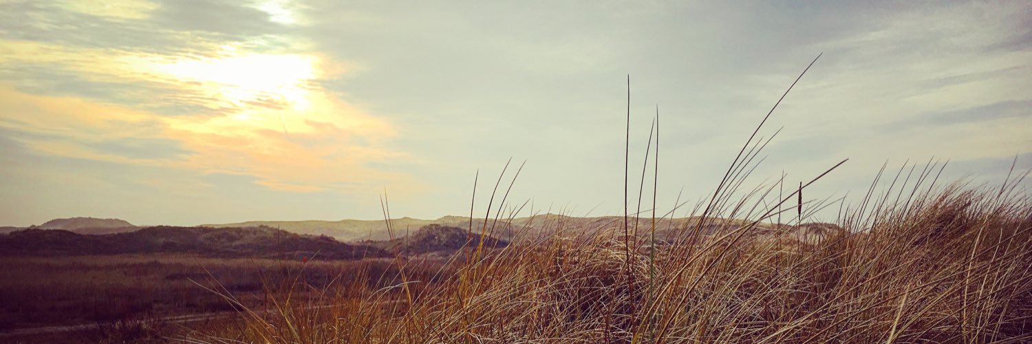 tiddo's profile banner image
