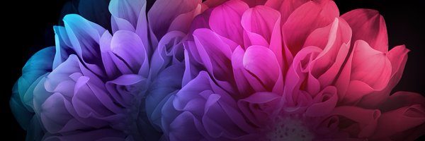 kuzitiz Profile Banner