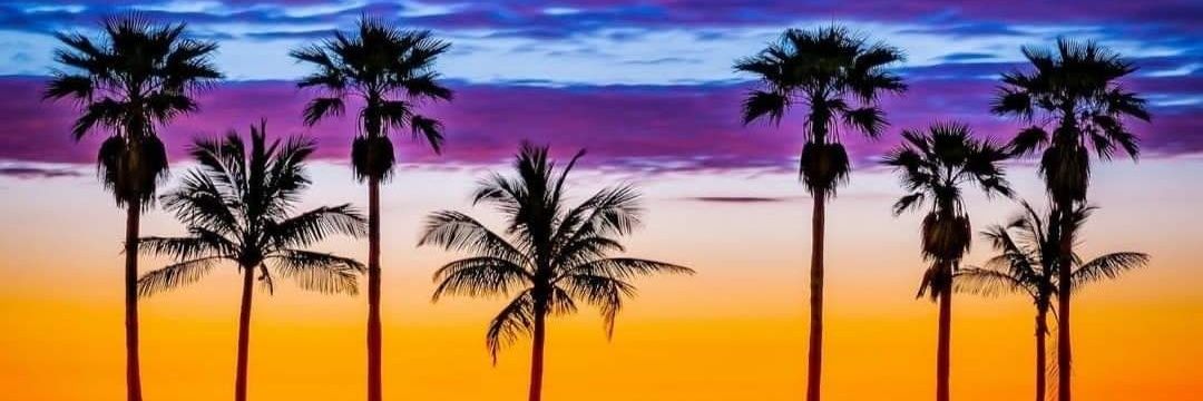 Sarijam's profile banner image