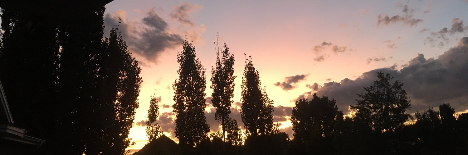 sav_morris33's profile banner image