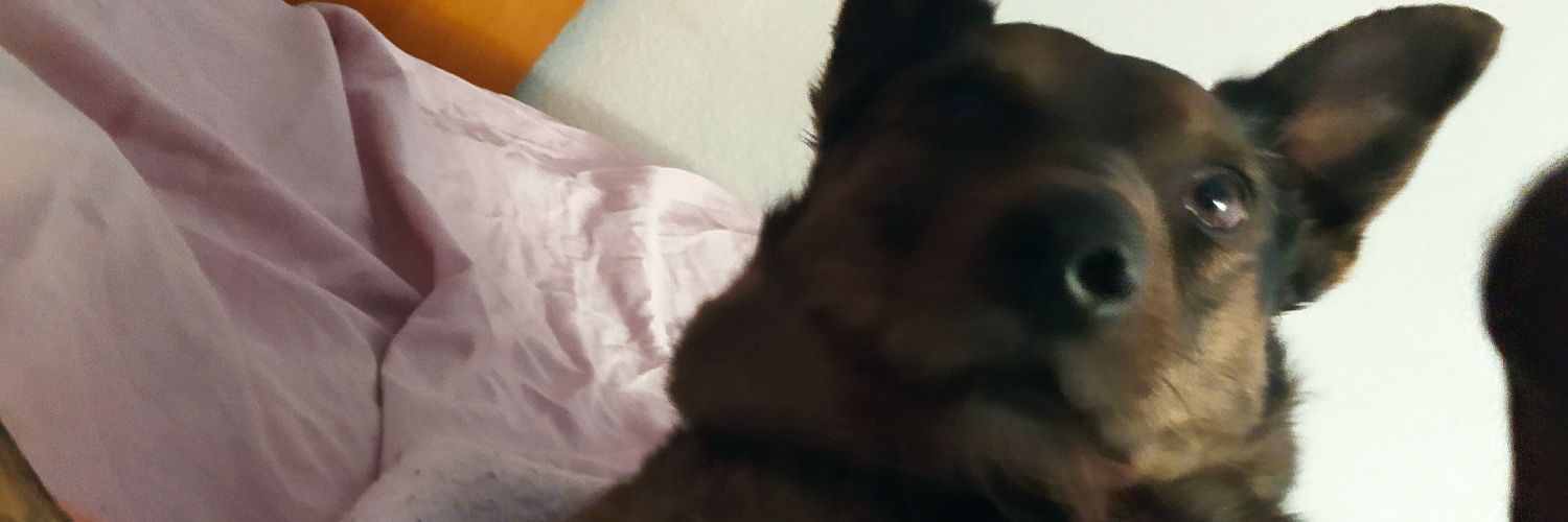 psychoceliav2's profile banner image