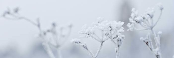 Mr.FollowFollow banner