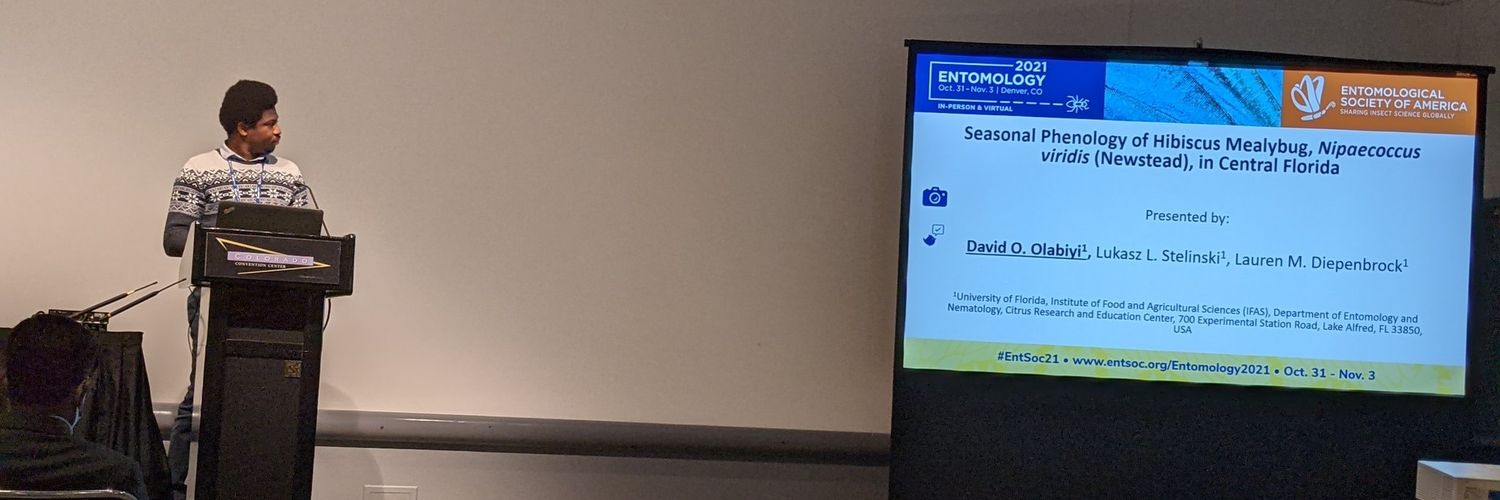 David Olabiyi banner