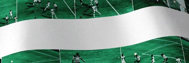 Roberto Fernández 💀🌺 banner