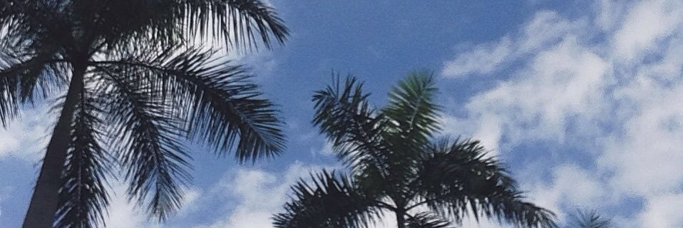 polosantos25's profile banner image