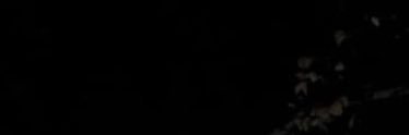 wolfgangoddfut1's profile banner image