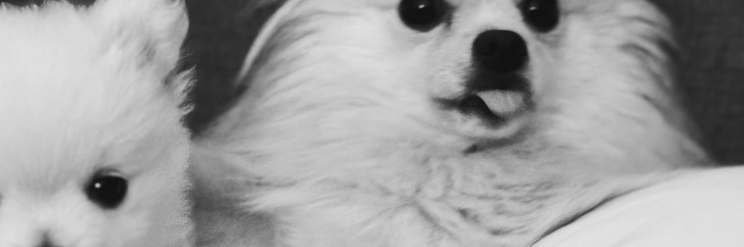 fridazamudio's profile banner image