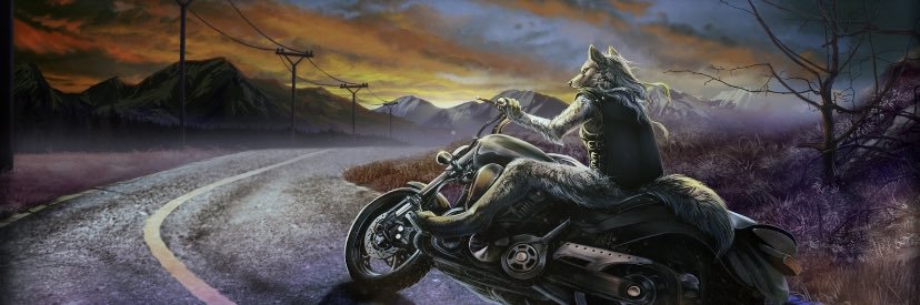 redbullhe's profile banner image