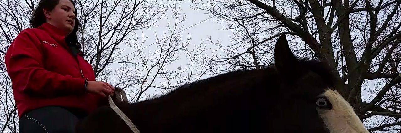 brandayye's profile banner image