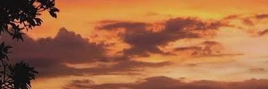 nabilahusnas1's profile banner image