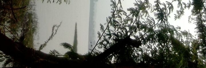 satyam_kumar00's profile banner image