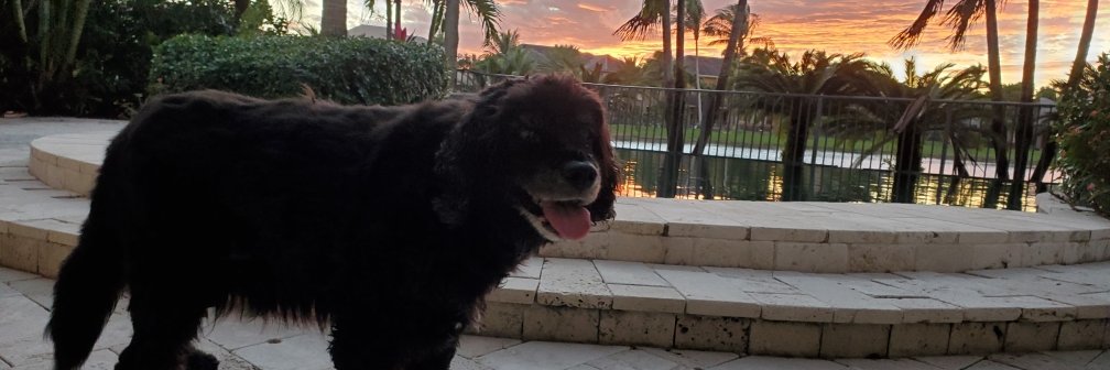 briddell334's profile banner image