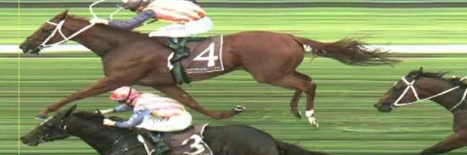 Daniel Worpel banner