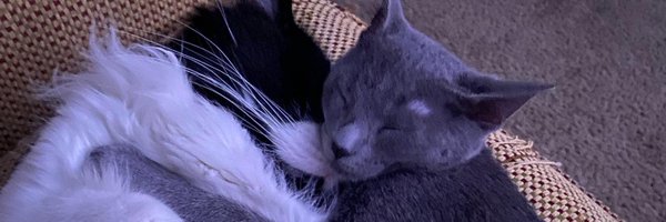 Pank_Mcstank Profile Banner