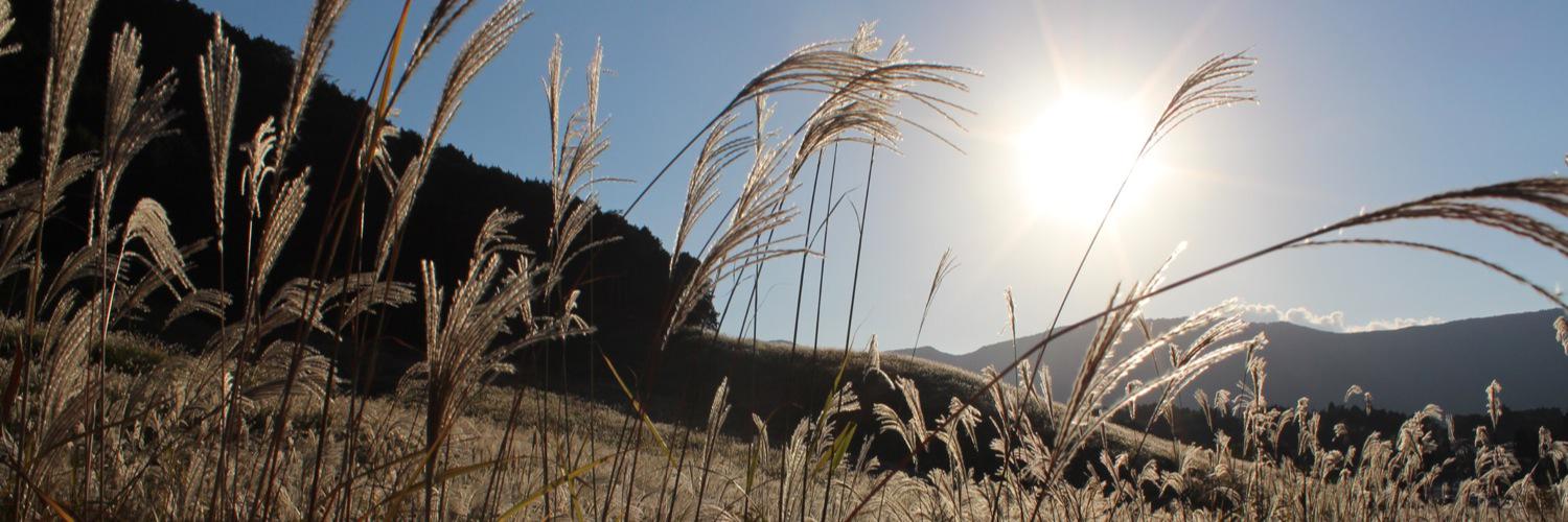 kanta8066's profile banner image