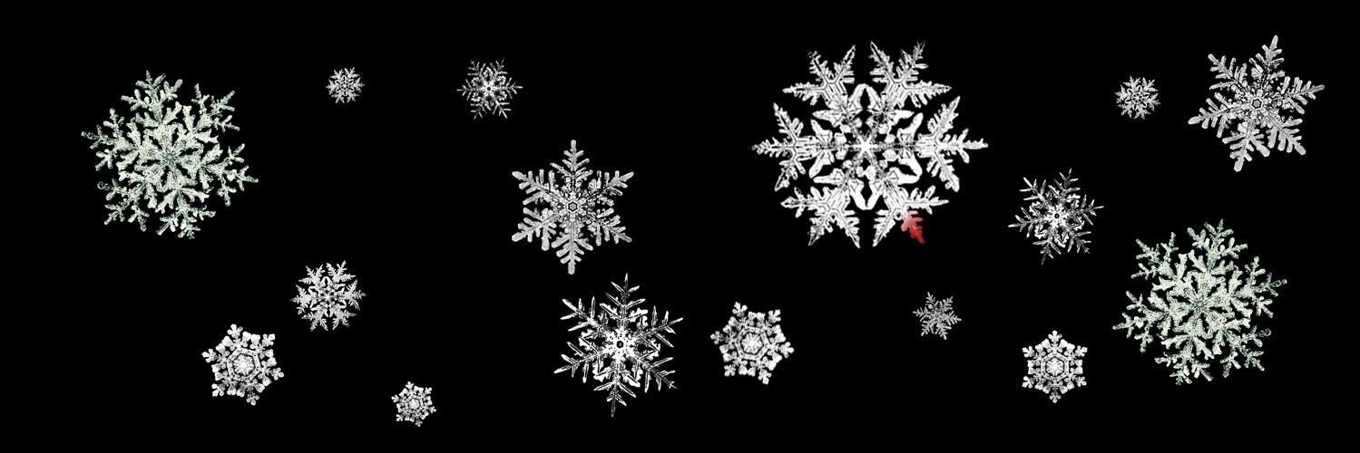 frozenmay's profile banner image