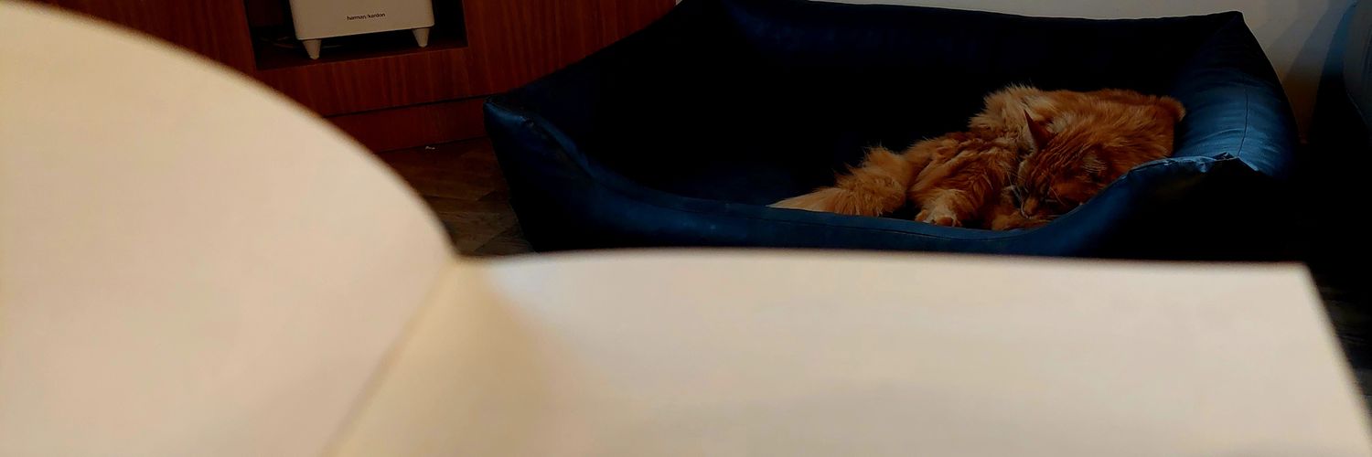 wazsabi's profile banner image