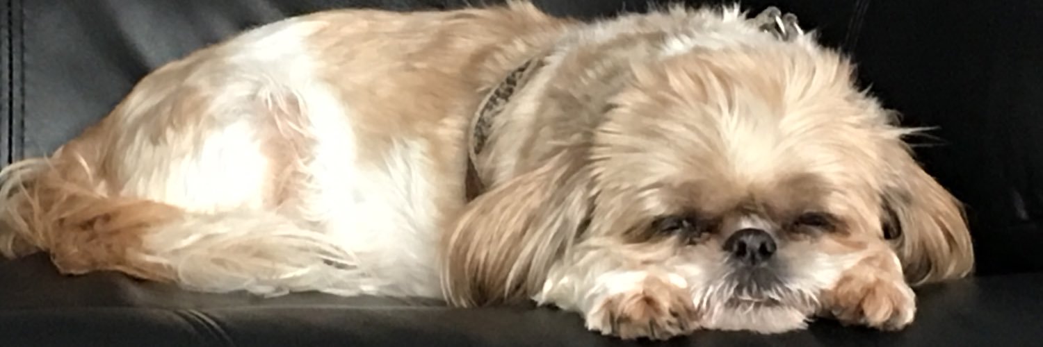 Carrie banner