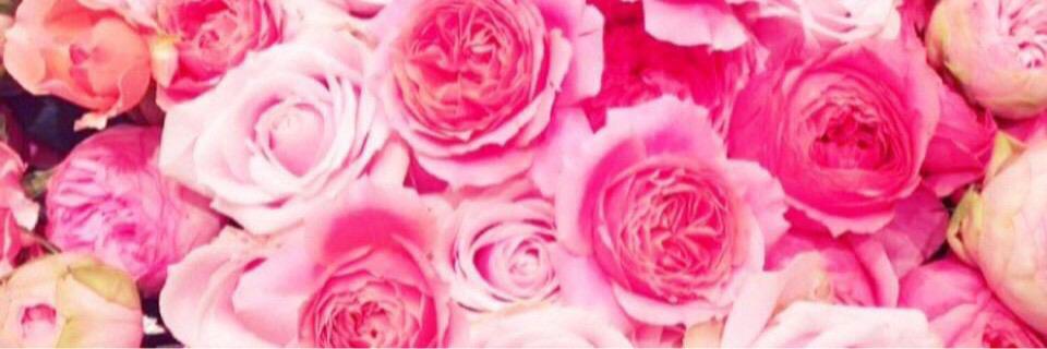 xxx08262's profile banner image