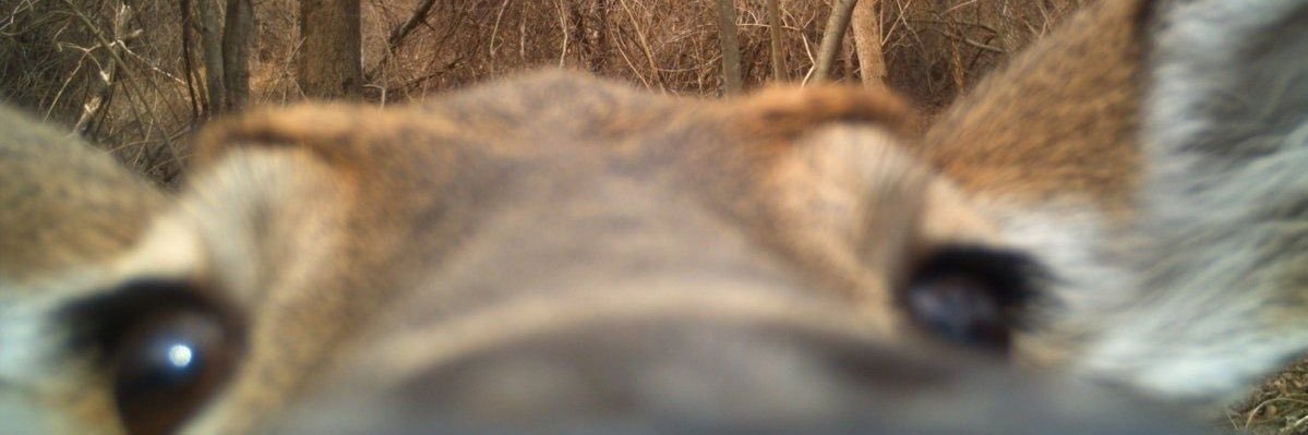 conrad0s's profile banner image