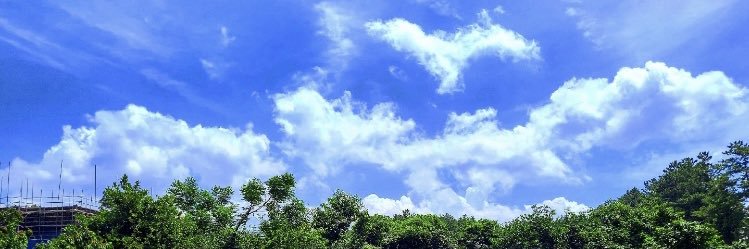 _901223a's profile banner image