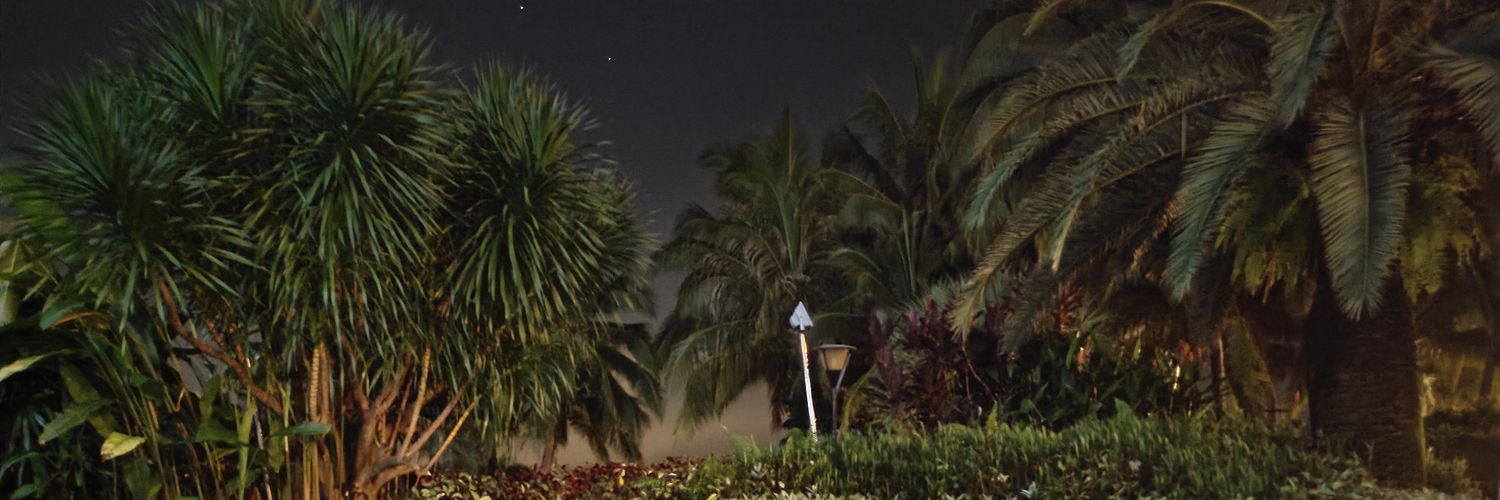 Flowercat90_'s profile banner image