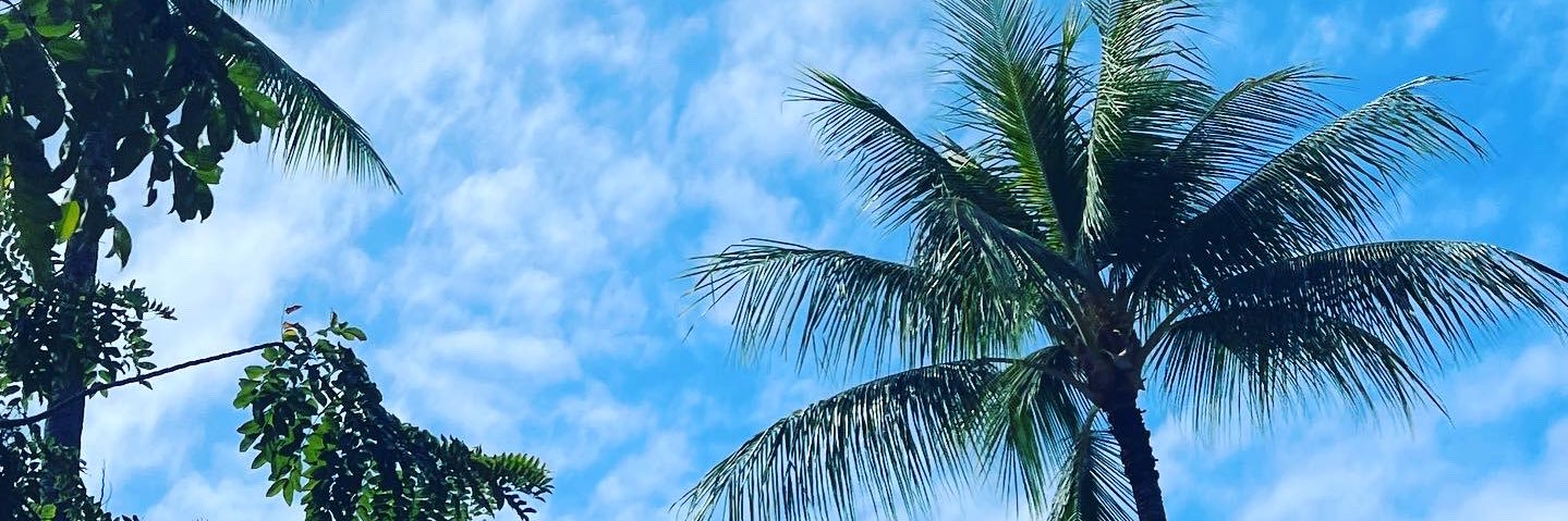 madirelazz's profile banner image