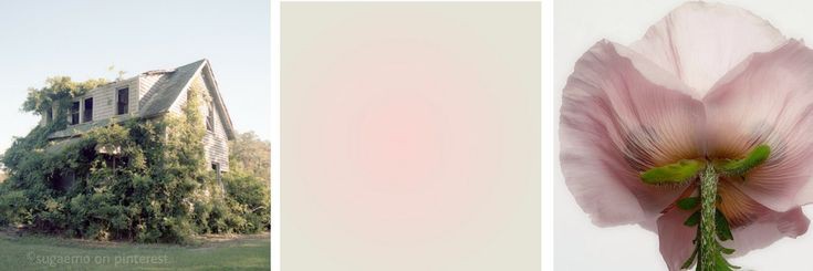 iveyuding's profile banner image