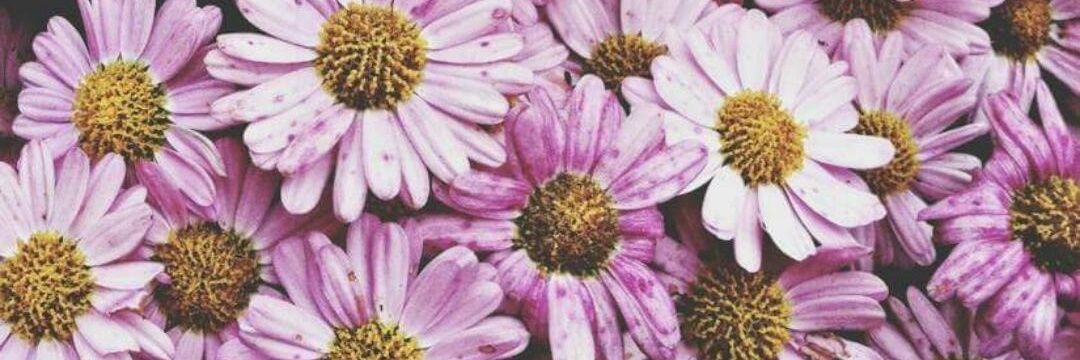 jdbmxsmg's profile banner image