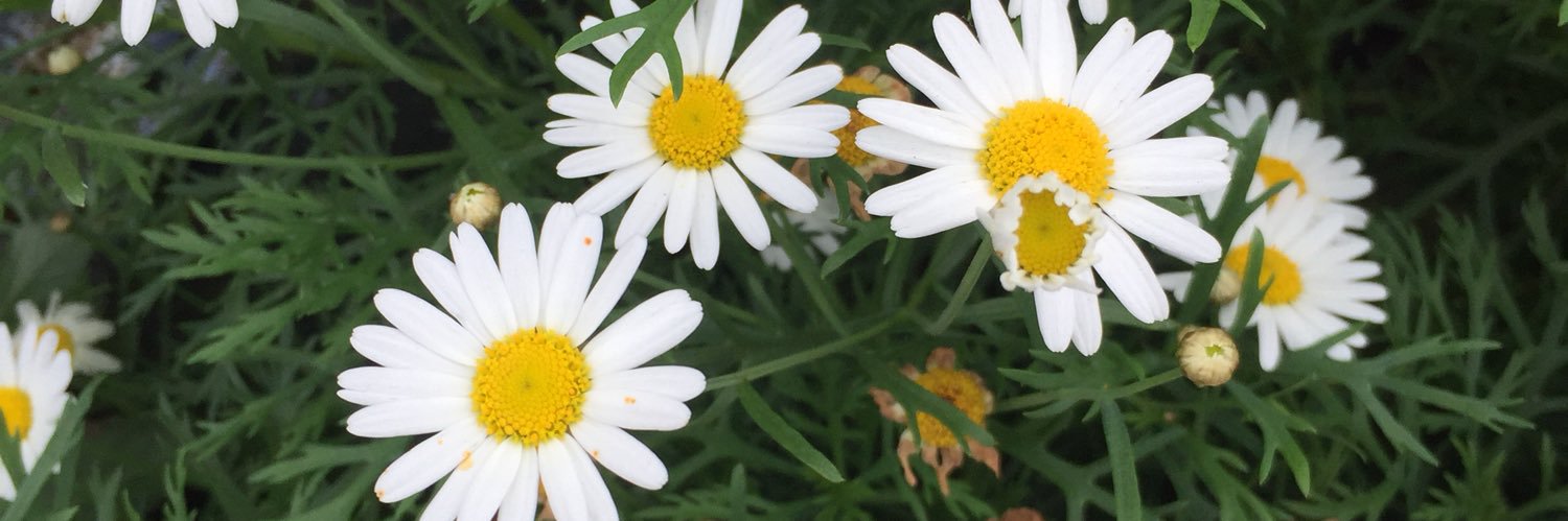 mild_mind9397's profile banner image